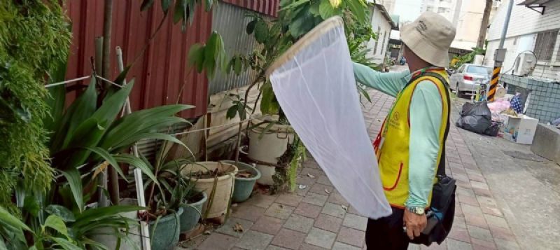 持續對本土病例居住地及工作地等區域加強孳生源清除及環境巡檢 持續對本土病例居住地及工作地等區域加強孳生源清除及環境巡檢